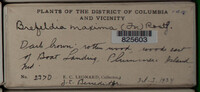 Image Associated With the Occurence